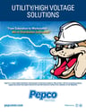 Pepco-Utility_High-Voltage-Division-Brochure-2015_COVER.jpg